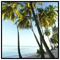 Honeymoon Beach